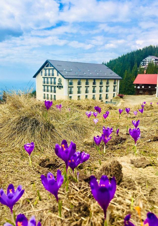 Montis Hotel & Spa 米克山 外观 照片