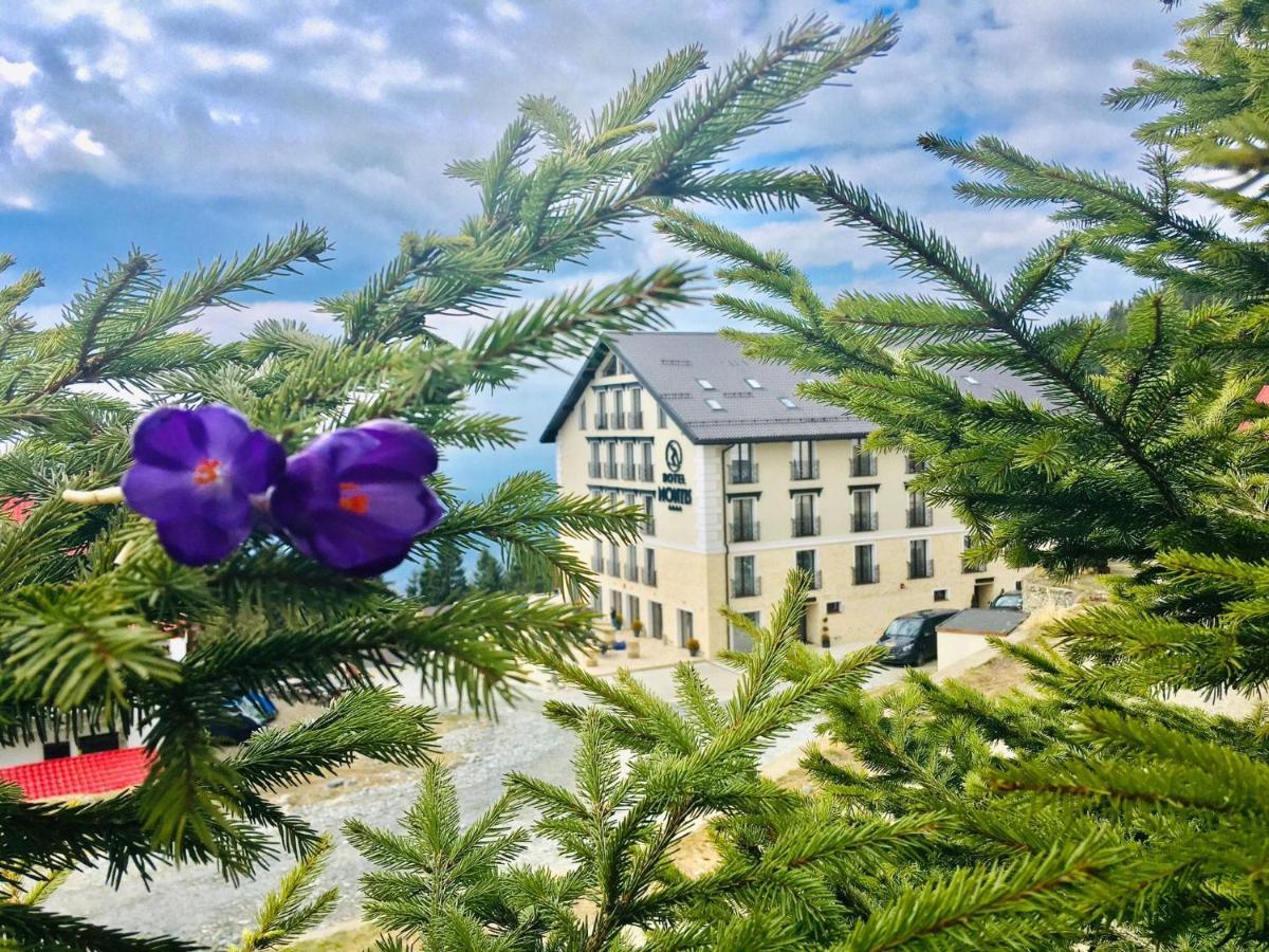 Montis Hotel & Spa 米克山 外观 照片